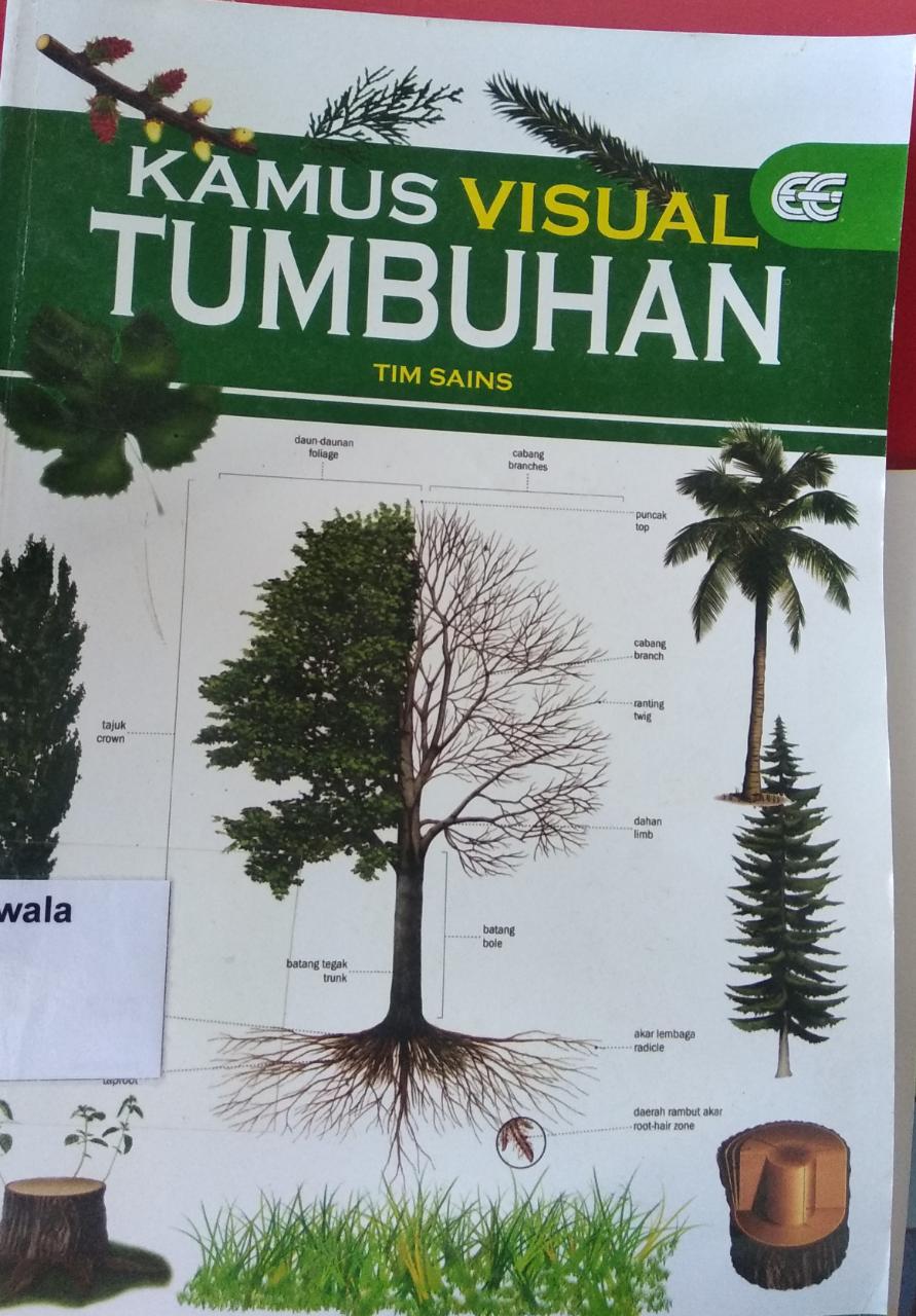 Kamus Visual Tumbuhan