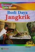 Budi Daya Jangkrik