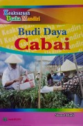 Budi Daya Cabai